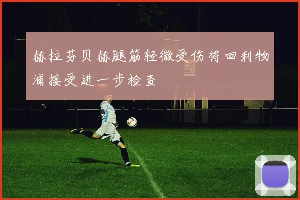 赫拉芬贝赫腿筋轻微受伤将回利物浦接受进一步检查