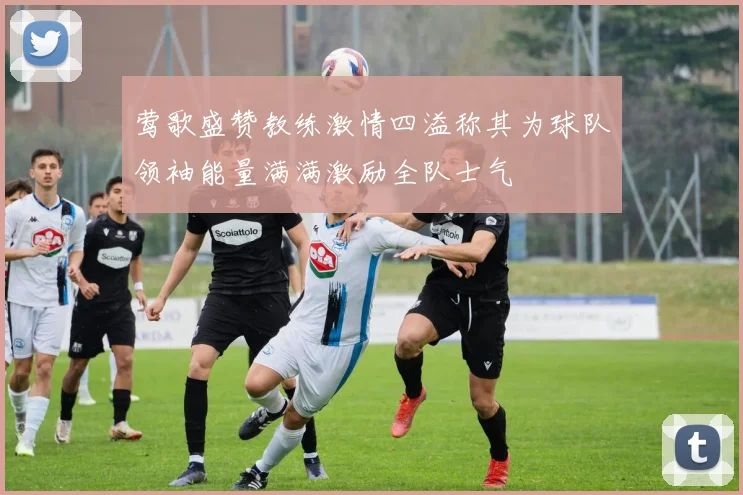 莺歌盛赞教练激情四溢称其为球队领袖能量满满激励全队士气